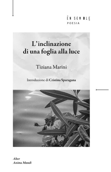 L’inclinazione di una foglia alla luce