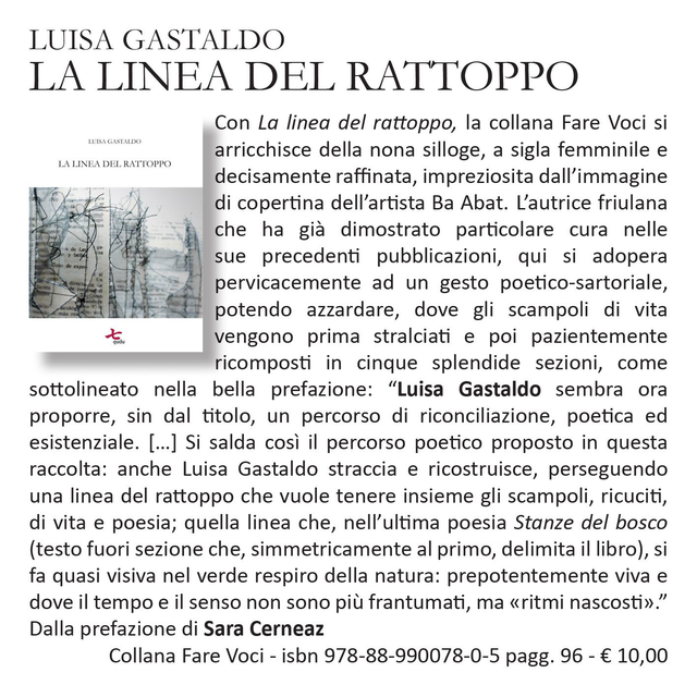 La linea del rattoppo