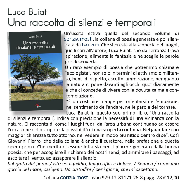 Una raccolta di silenzi e temporali
