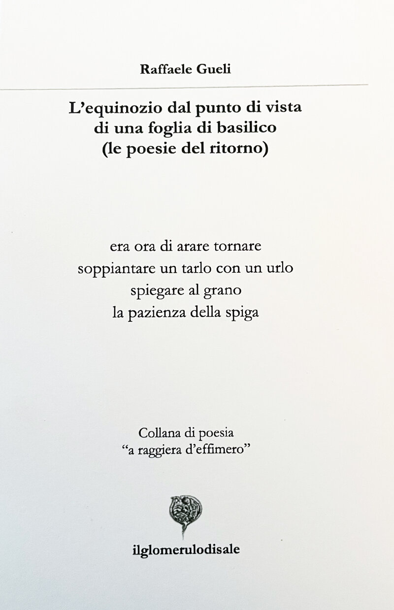L’equinozio dal punto di vista di una foglia di basilico