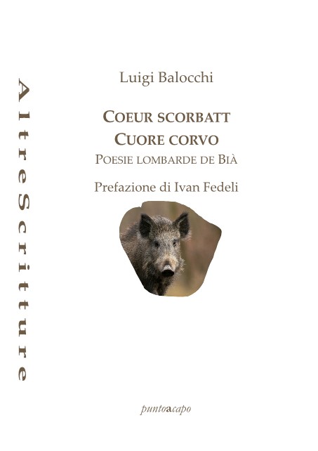 Coeur scorbatt