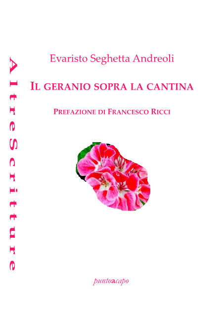 Il geranio sopra la cantina