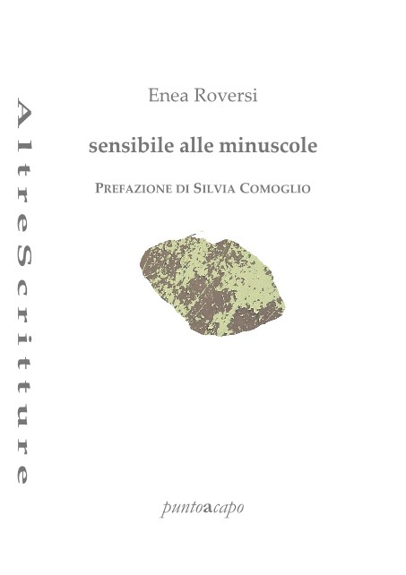 Sensibile alle minuscole